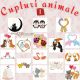 Cadouri personalizate indragostiti - cupluri animale