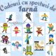Cadouri sporturi iarna ski snowboard patinaj hochei
